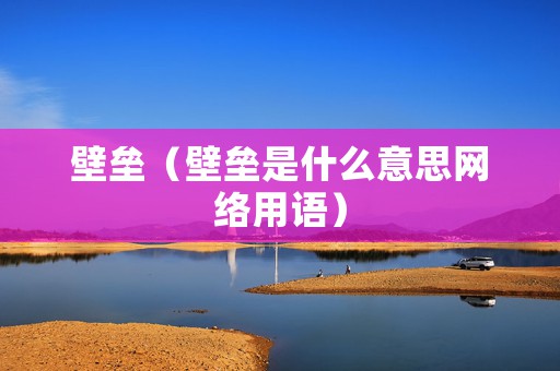 壁垒（壁垒是什么意思网络用语）