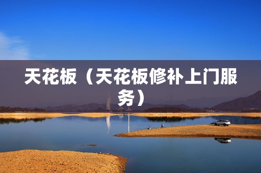 天花板（天花板修补上门服务）