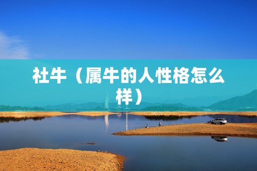 社牛（属牛的人性格怎么样）