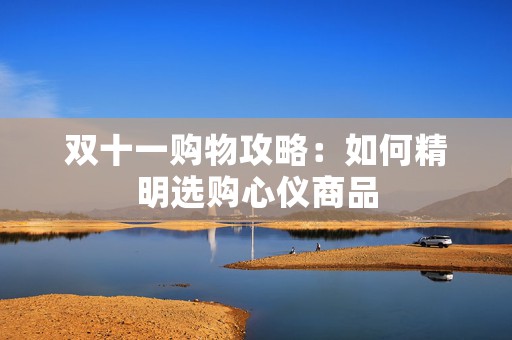 双十一购物攻略：如何精明选购心仪商品