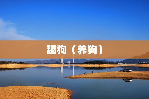舔狗（养狗）