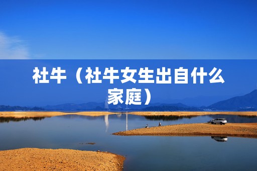 社牛（社牛女生出自什么家庭）
