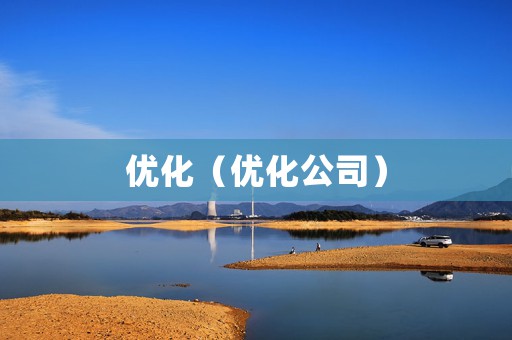 优化（优化公司）