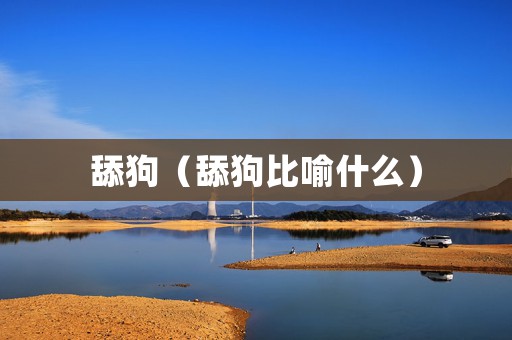 舔狗（舔狗比喻什么）