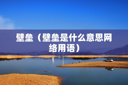 壁垒（壁垒是什么意思网络用语）