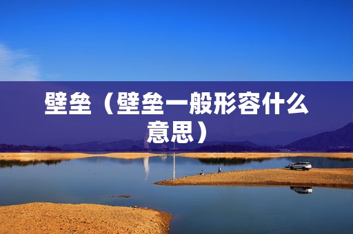 壁垒（壁垒一般形容什么意思）