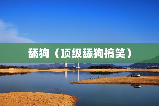 舔狗（顶级舔狗搞笑）