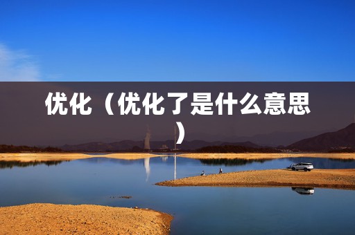 优化（优化了是什么意思）