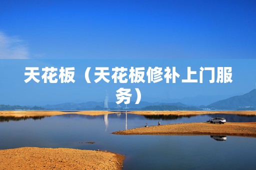 天花板（天花板修补上门服务）