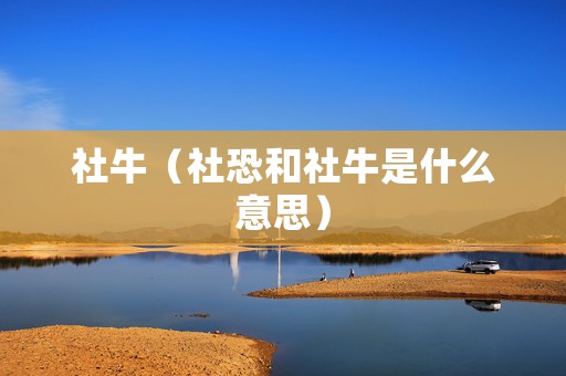 社牛（社恐和社牛是什么意思）