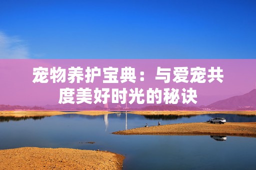 宠物养护宝典：与爱宠共度美好时光的秘诀