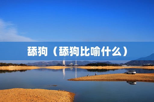 舔狗（舔狗比喻什么）