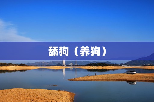 舔狗（养狗）
