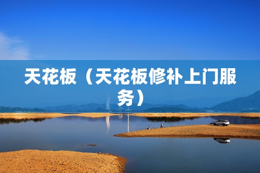 天花板（天花板修补上门服务）