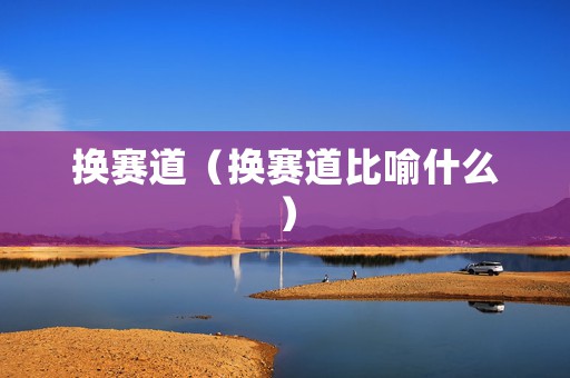 换赛道（换赛道比喻什么）