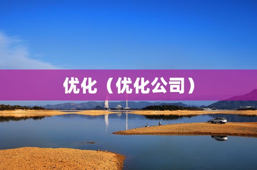 优化（优化公司）