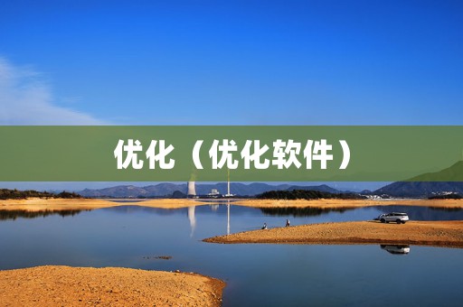 优化（优化软件）