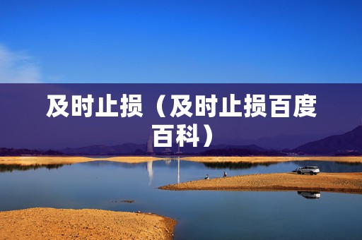 及时止损（及时止损百度百科）