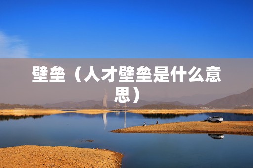 壁垒（人才壁垒是什么意思）
