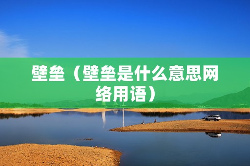 壁垒（壁垒是什么意思网络用语）