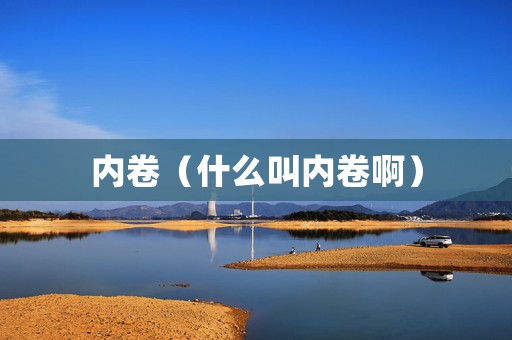 内卷（什么叫内卷啊）