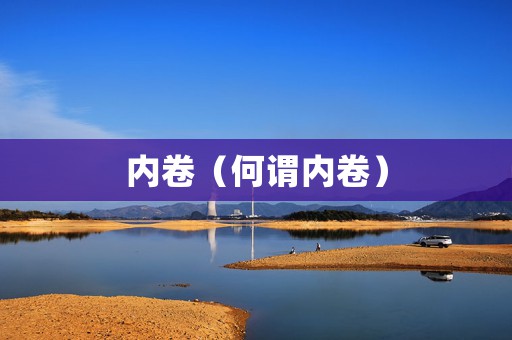 内卷（何谓内卷）