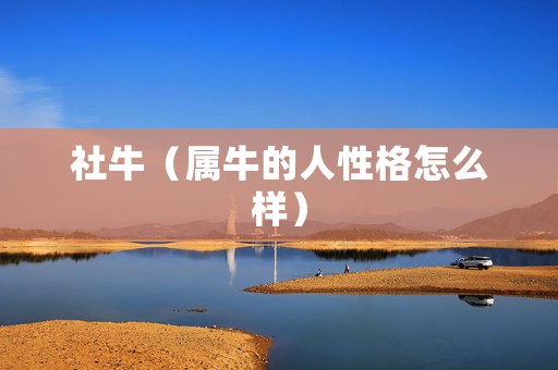 社牛（属牛的人性格怎么样）
