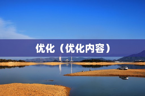 优化（优化内容）
