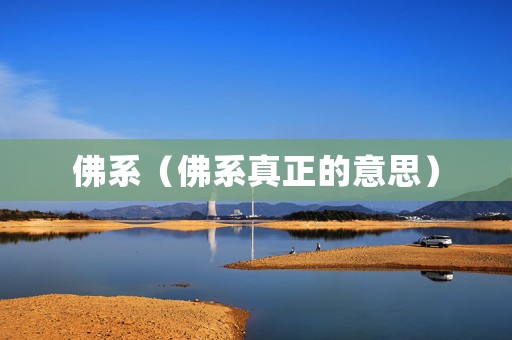 佛系（佛系真正的意思）