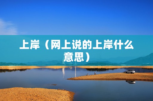 上岸（网上说的上岸什么意思）