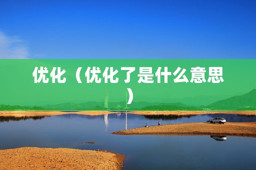 优化（优化了是什么意思）