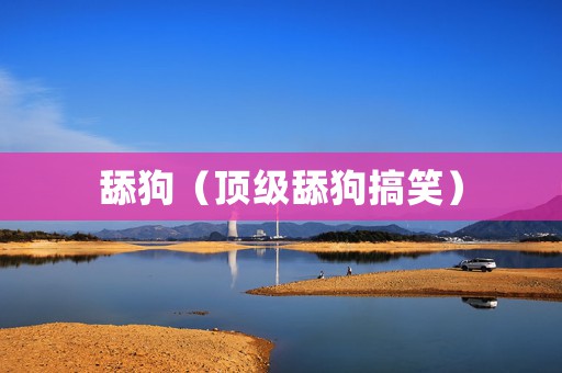 舔狗（顶级舔狗搞笑）