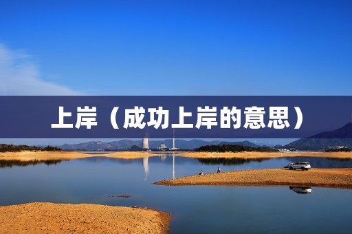 上岸（成功上岸的意思）