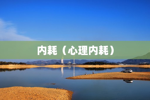 内耗（心理内耗）