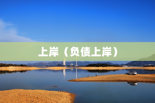 上岸（负债上岸）