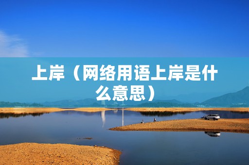 上岸（网络用语上岸是什么意思）