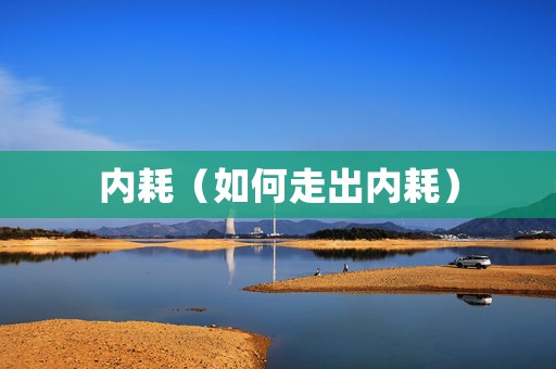 内耗（如何走出内耗）