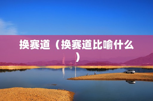 换赛道（换赛道比喻什么）