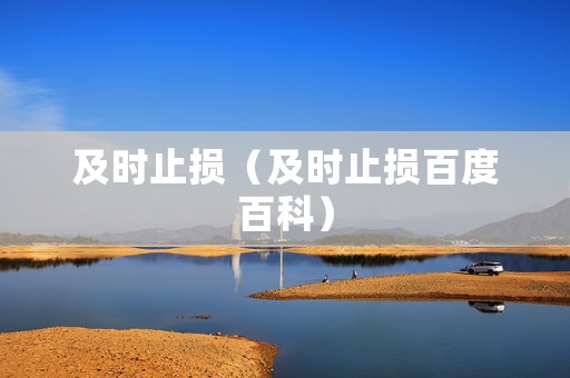 及时止损（及时止损百度百科）