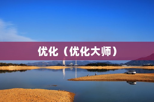 优化（优化大师）