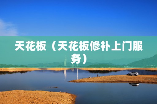 天花板（天花板修补上门服务）