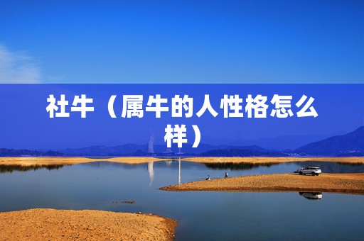 社牛（属牛的人性格怎么样）