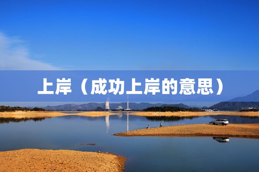 上岸（成功上岸的意思）