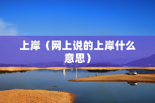 上岸（网上说的上岸什么意思）