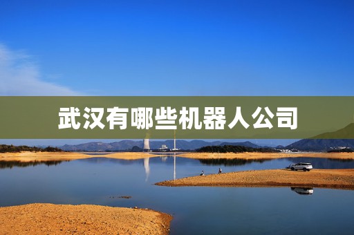 武汉有哪些机器人公司