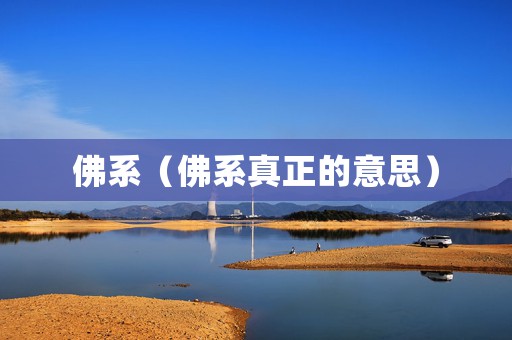 佛系（佛系真正的意思）