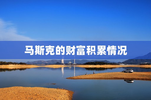 马斯克的财富积累情况