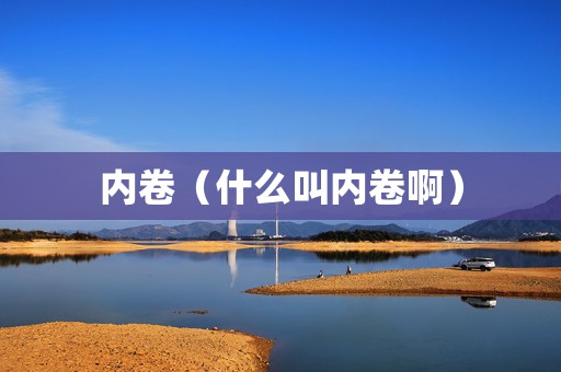 内卷（什么叫内卷啊）