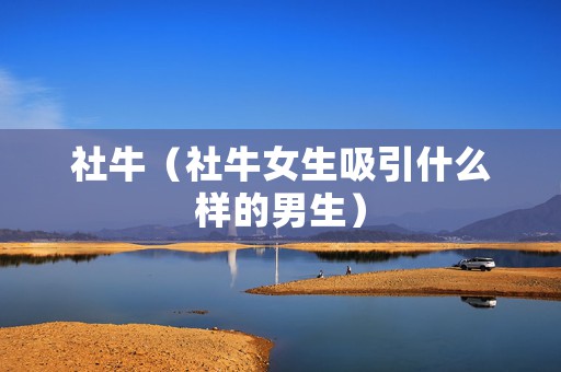 社牛（社牛女生吸引什么样的男生）