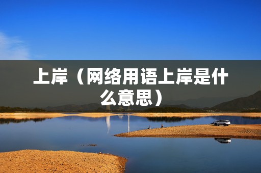 上岸（网络用语上岸是什么意思）